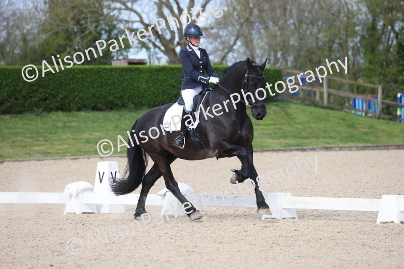 20260405-0231 - Class 3 - Novice 5