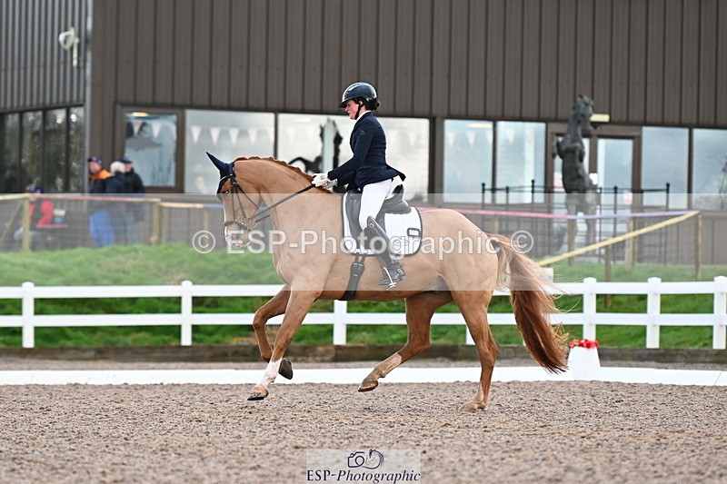 240218A-104308-06194 - 272-Beth.Bainbridge-Newton.Dreamcatcher