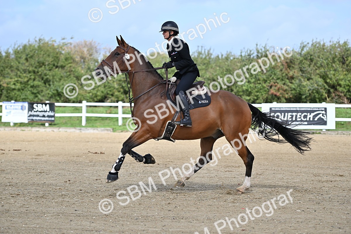 SBM_000858 - Class 41 - 80cm