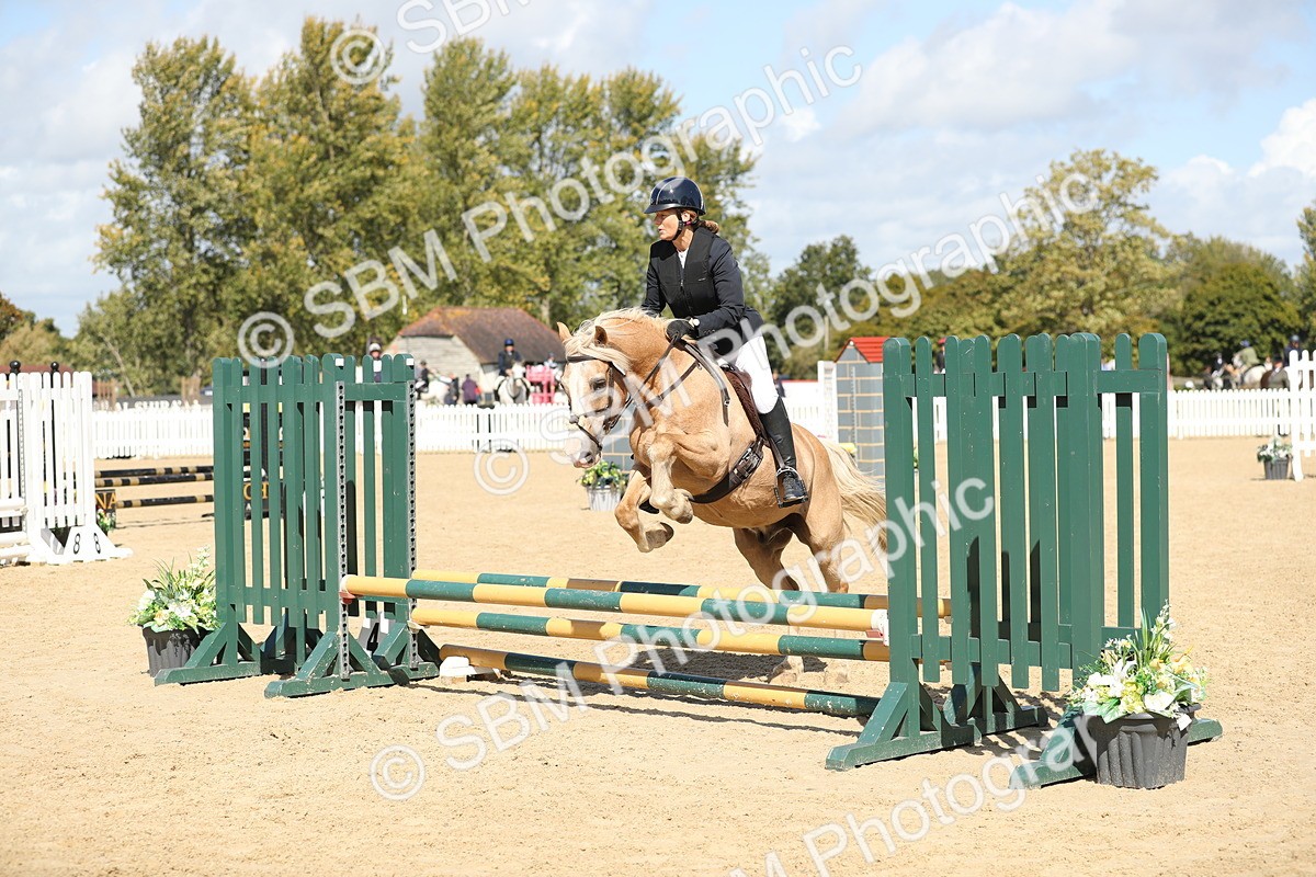 SBM_05600 - J35 - Veteran Rider 60cm