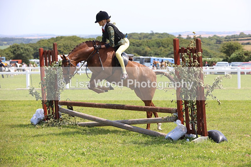 JPP_2573 - Class 21: Working Hunter 60cm