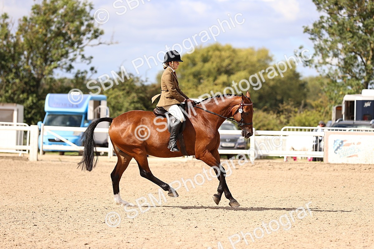 SBM_12927 - Class 410 - Grassroots Ridden - Horse