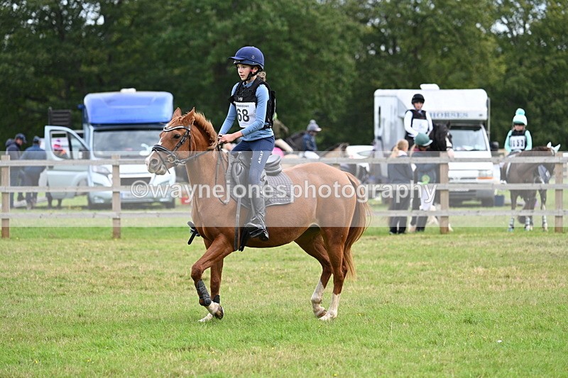 WJ7_9040 - 60cm Time 12:51 to 13:18