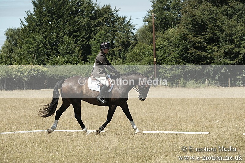 _PJP5910 - Dressage Classes BVRC Show 2018