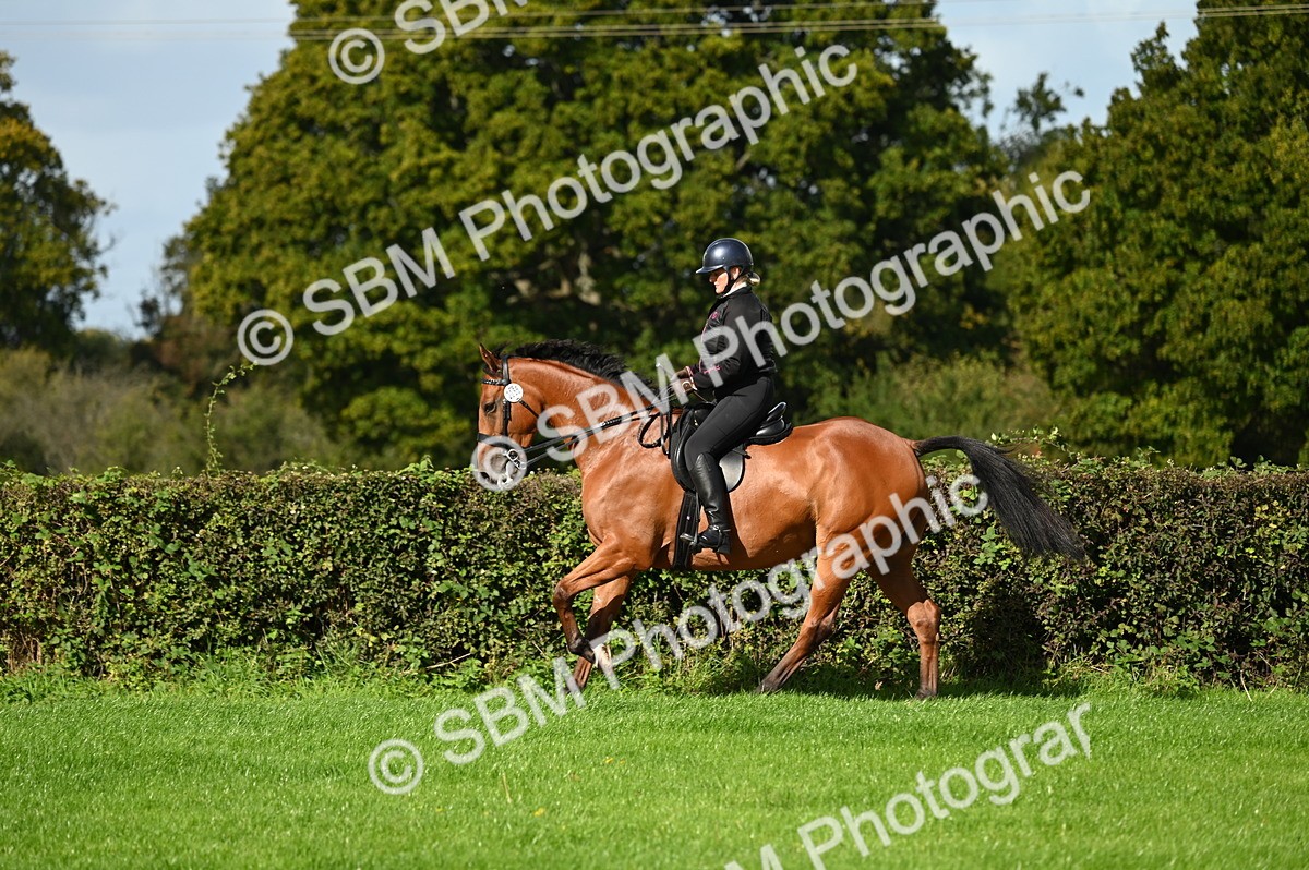 SBM_01608 - S2 - TSR Ridden Horse Showing