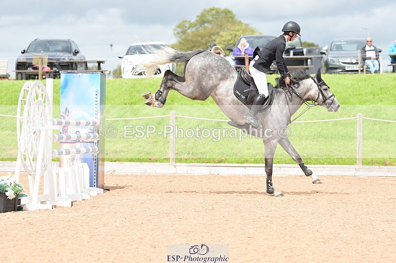 230813A-135916-13321 - Cls 49 Chard Eq 5yr Old Championship