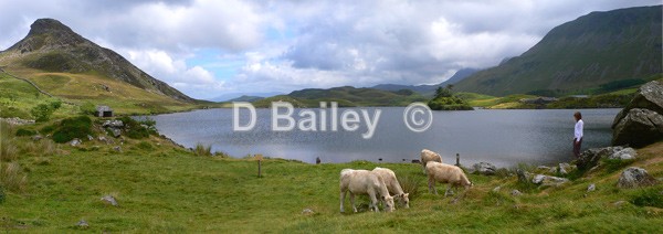 Llyn Cregennan Cader Idris - Lakes