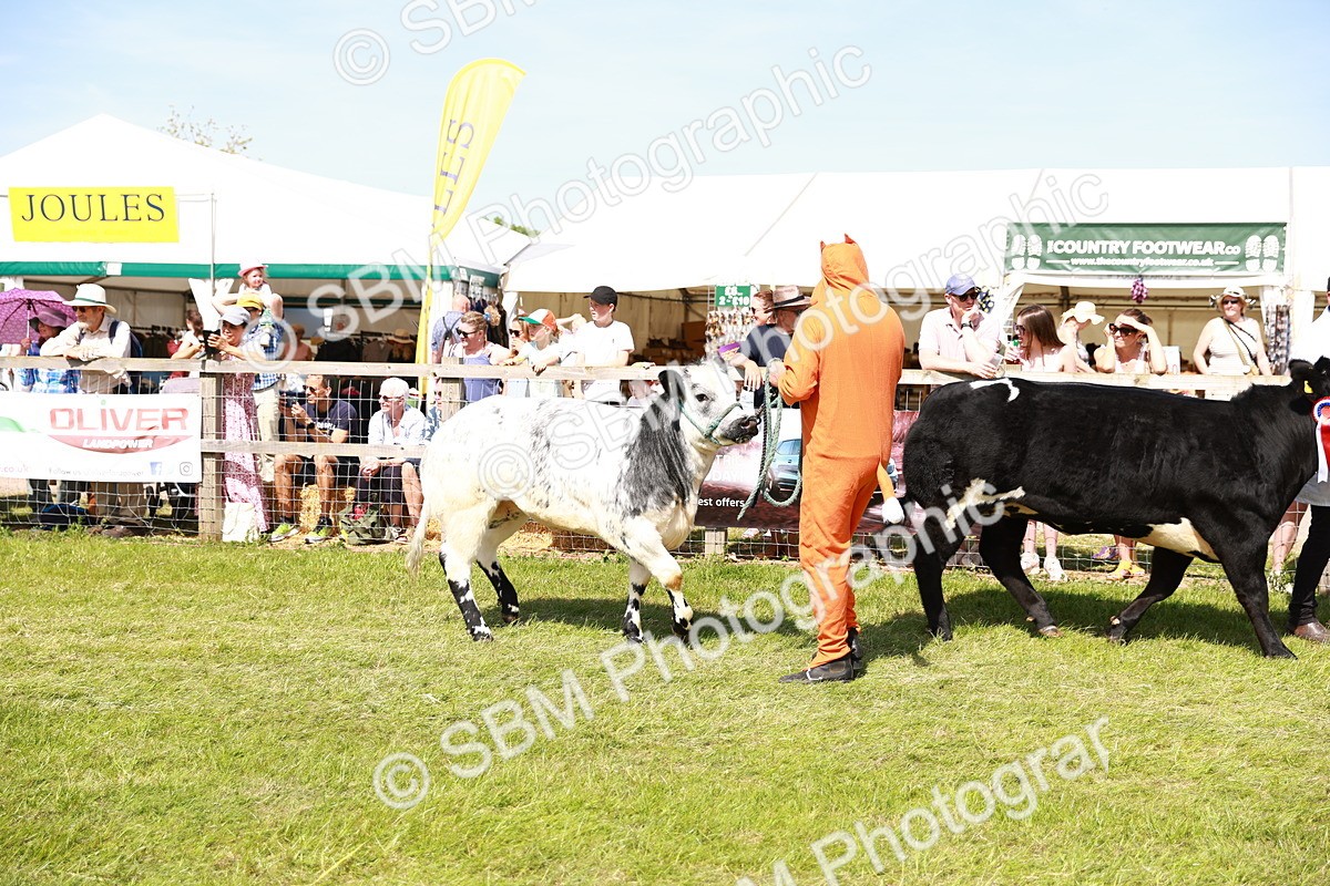 SBM_08339 - Grand Parade