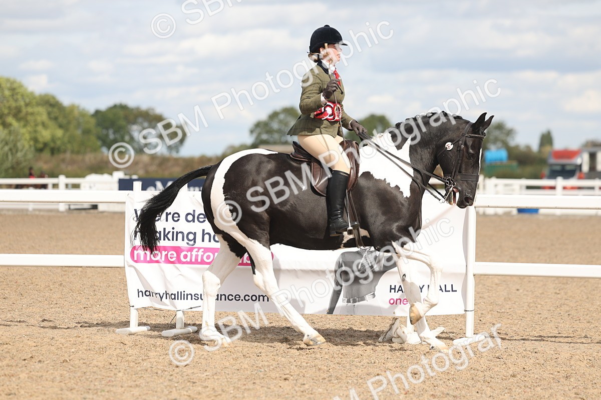 SBM_14870 - Class 308 - Ridden Coloured Horse
