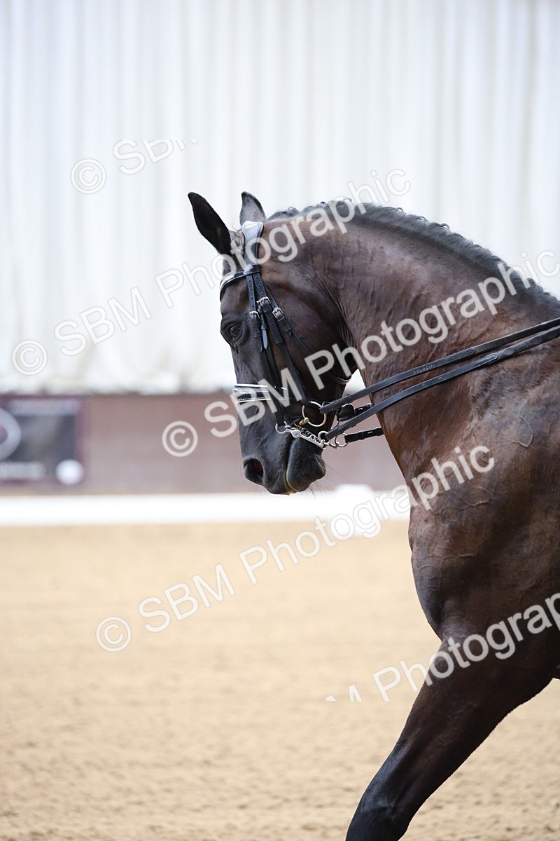 SBM_003909 - Class 8 - Advanced Medium 6 Silver