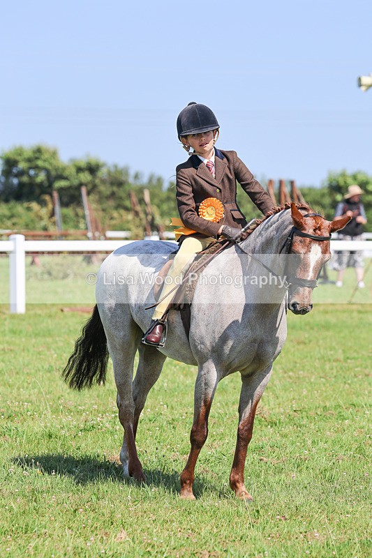IMG_1973 - Class 33: Show Pony 148cm and under