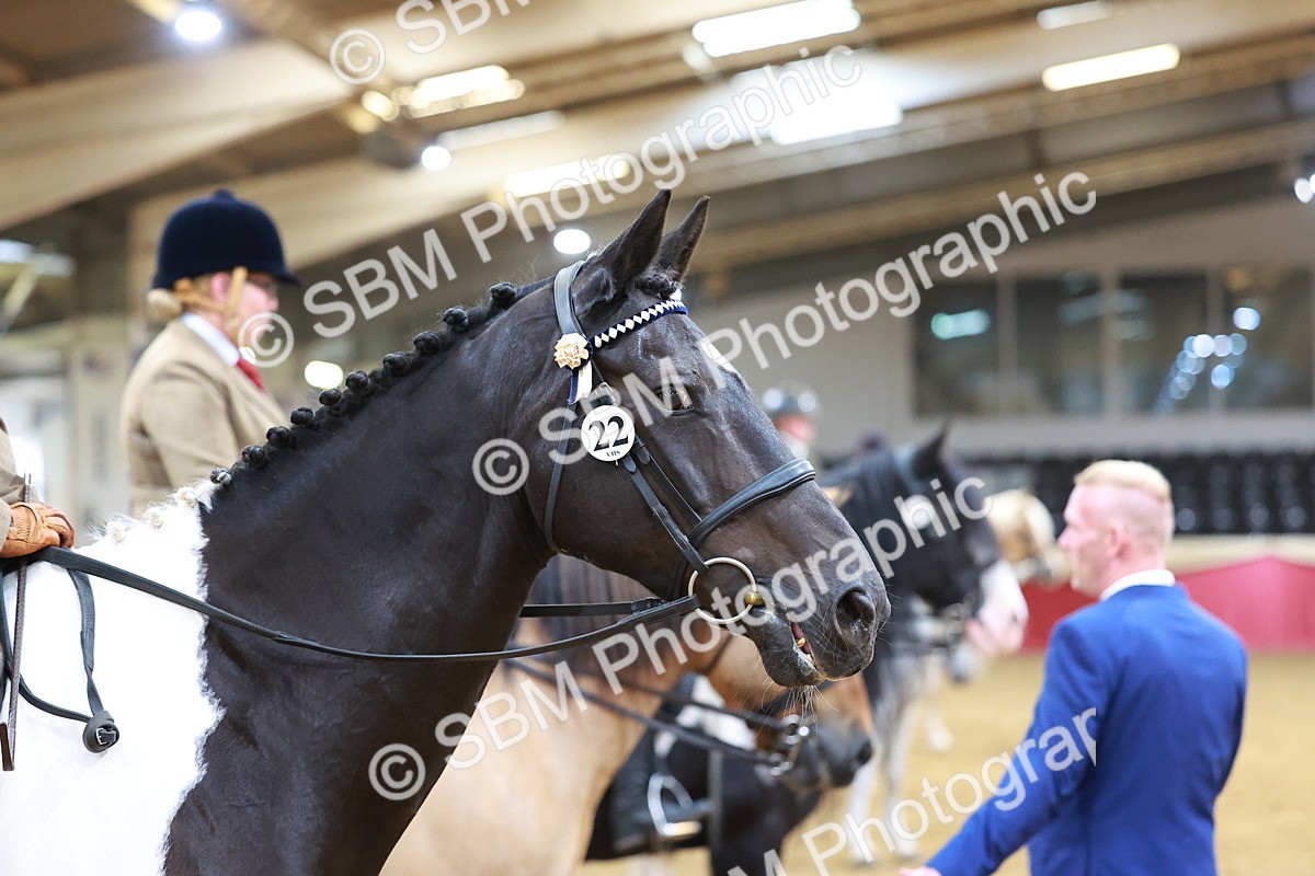 SBM_05387