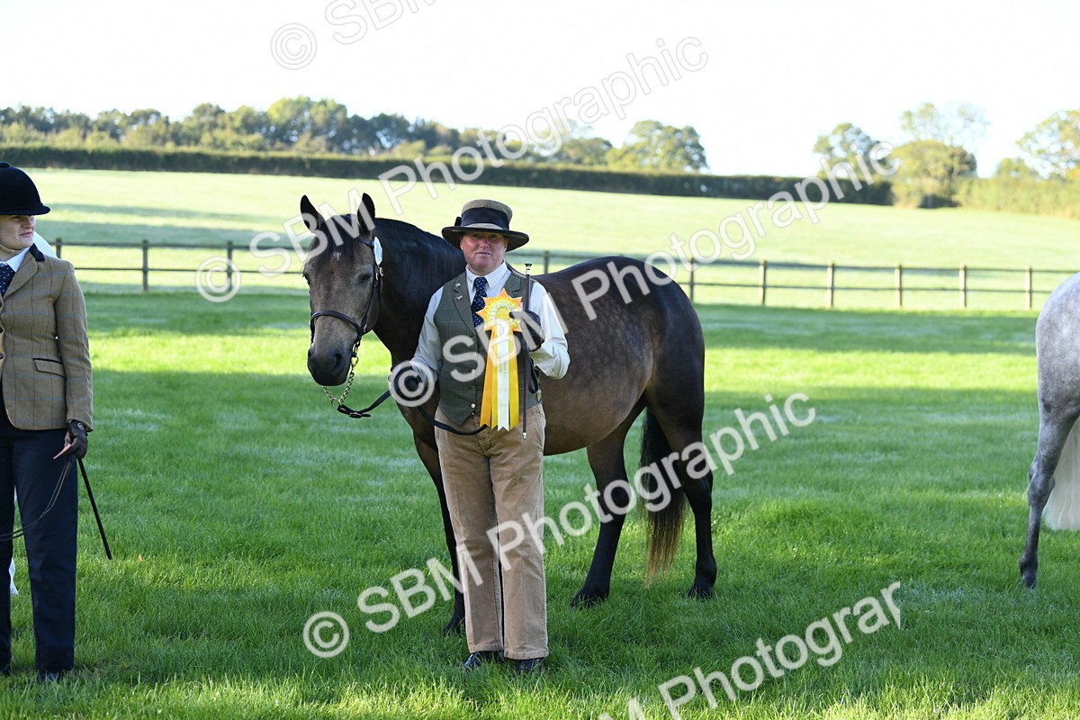 SBM_32836 - S15 - Condition & Turnout In Hand
