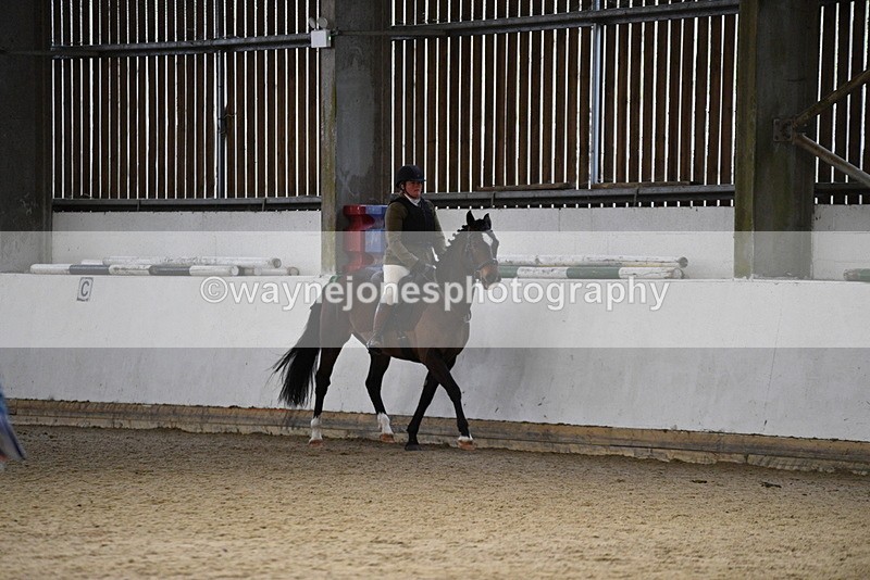 WJ5_8331 - Class 14 Novice Ridden/Rider