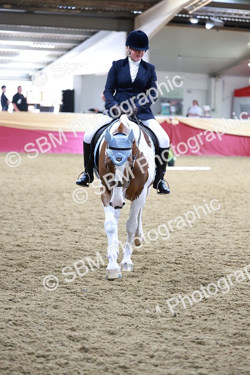 SBM_09186 - Class 61 - Dressage to Music