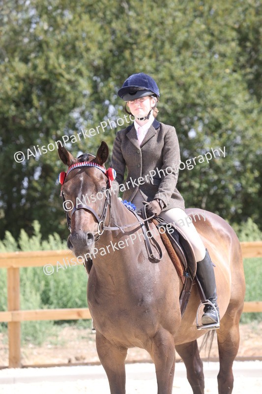 20260802-0747 - Class 8 - Best Riding Horse or Pony