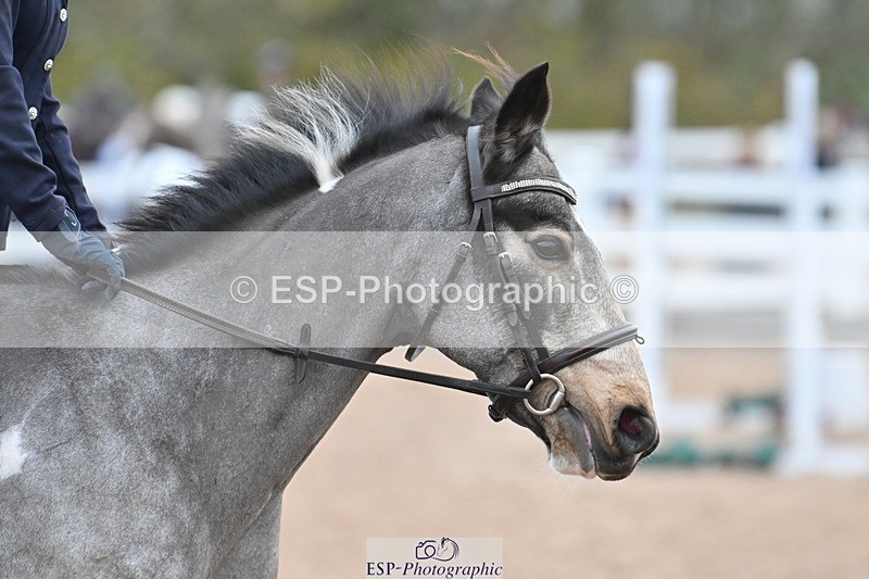 231119A-094607-04737 - Sun Cls 3 BlueChip Pony Discovery Qualifier