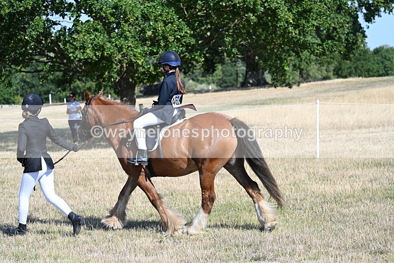 WJ7_3028 - Class 8 Ridden Tack & Turnout
