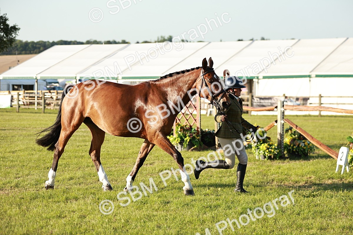 SBM_20544 - Class 117-119 - Sport Horse Working Hunter