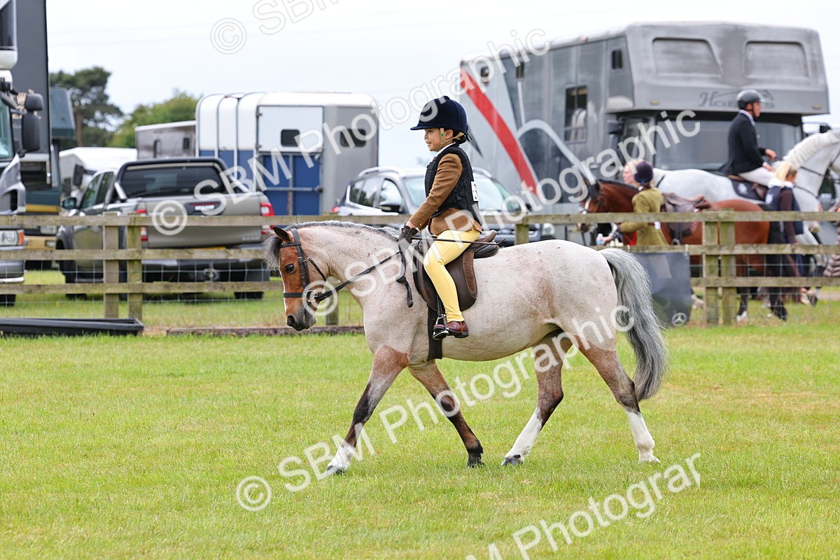 SBM_08593 - Class 42-43 - LIHS BSPS Heritage Working Sports Pony