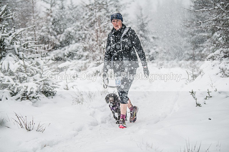 Glentress-2360 - High Terrain Events Glentress 42, 21 & 10K Trail Races Sunday 15th February 2026