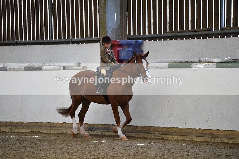 WJ5_5941 - Class 9 Ridden Veteran