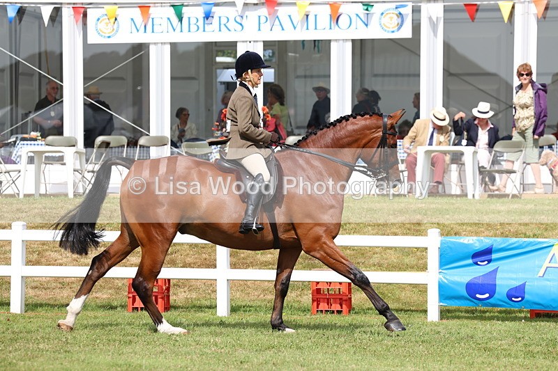 3E7A9303 - Class 4: Rising Star M/H Hunter