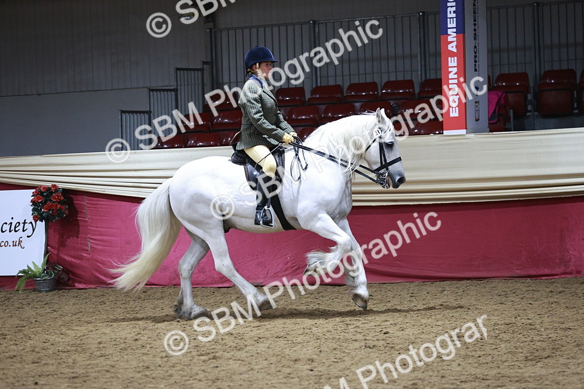 SBM_08058 - Class 11R - Regional Ridden Veteran