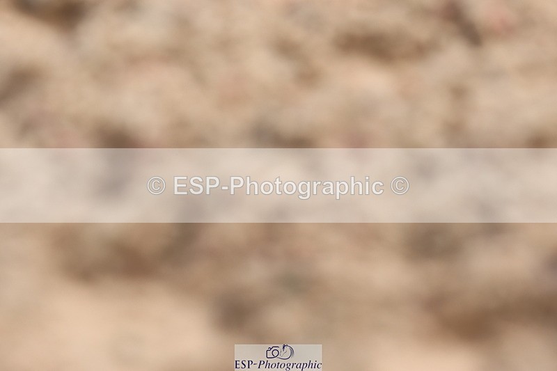 240622A-095421-07164 - Cls 24 BD Prelim 15