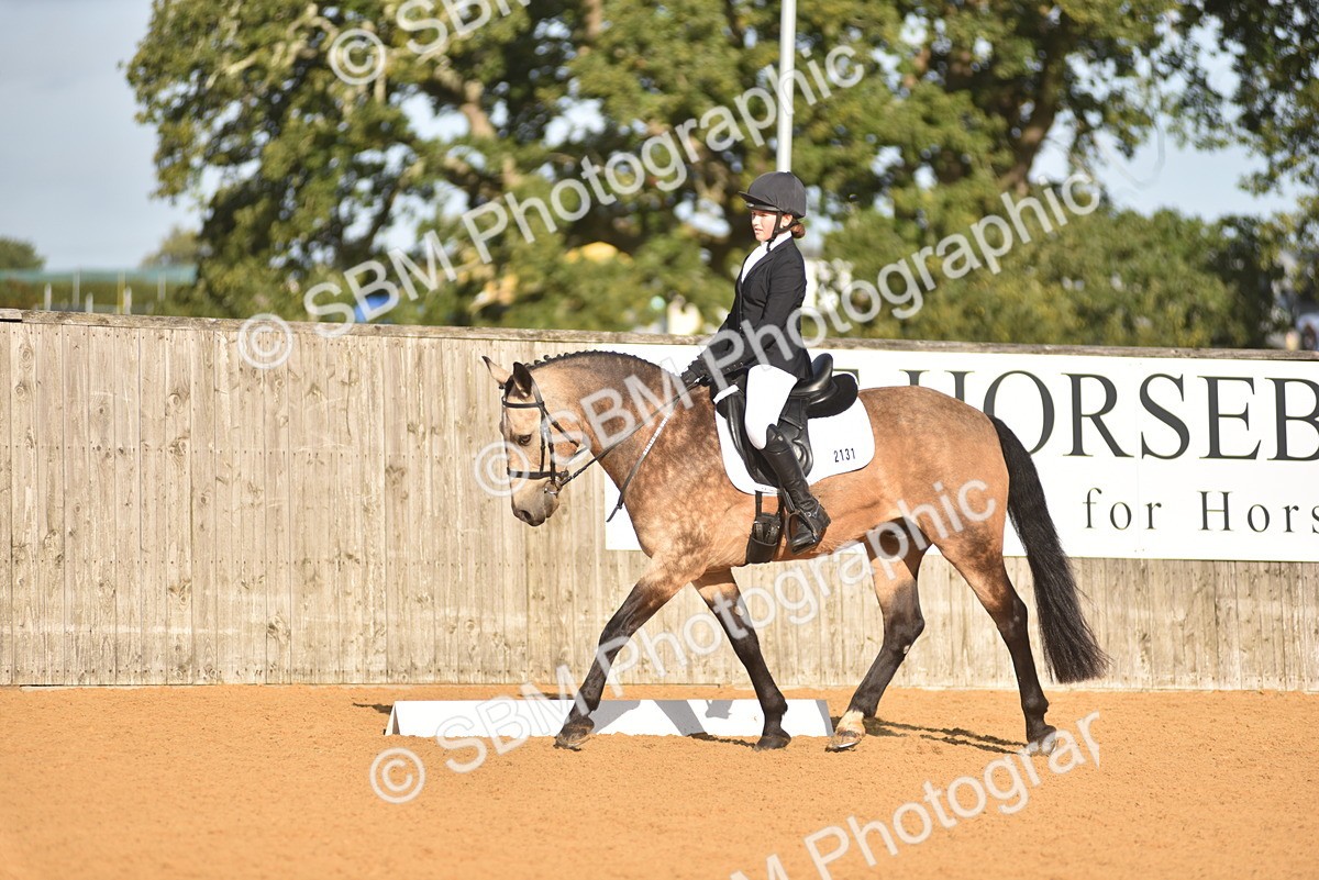 SBM_15771 - D4 - Small Tour Championship Intro 4