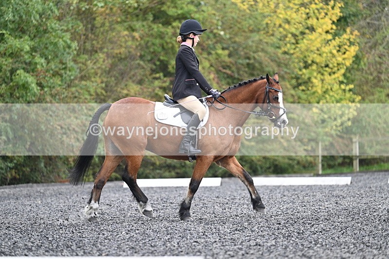 WJ7_3939 - Time 11:04 to 11:38