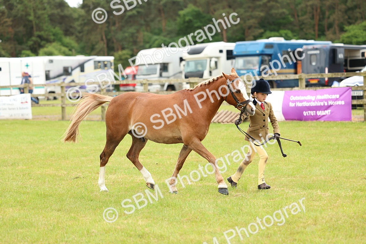 SBM_10263 - Class 44-45 - LIHS BSPS Open Nursery and Cradle Stakes