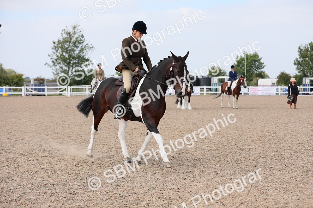 SBM_13461 - Class 308 Ridden Coloured Horse