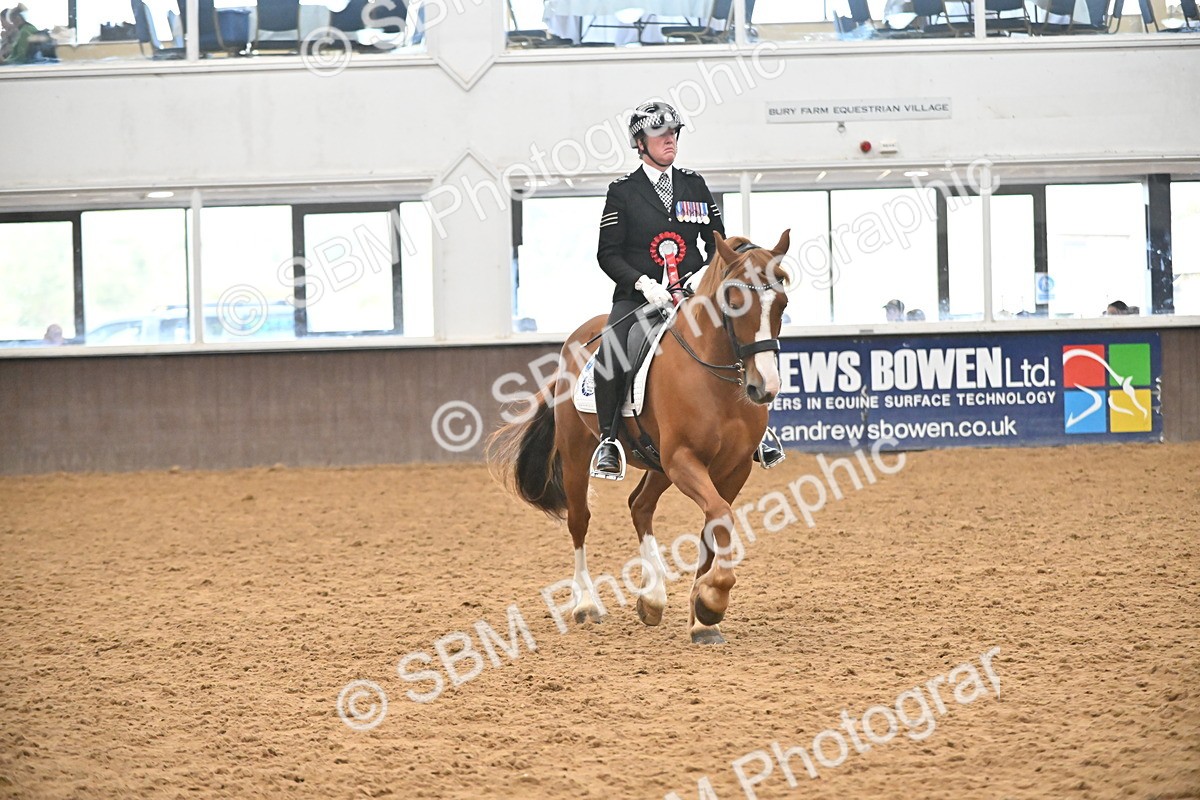 SBM_002748 - Ridden Showing Supreme Championships