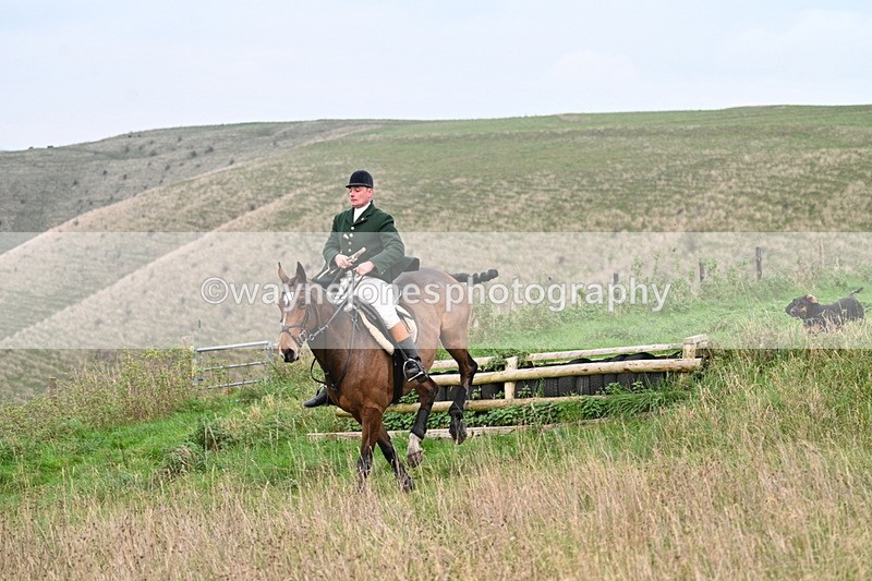 WJ7_9848 - Camera 1 & Last fence