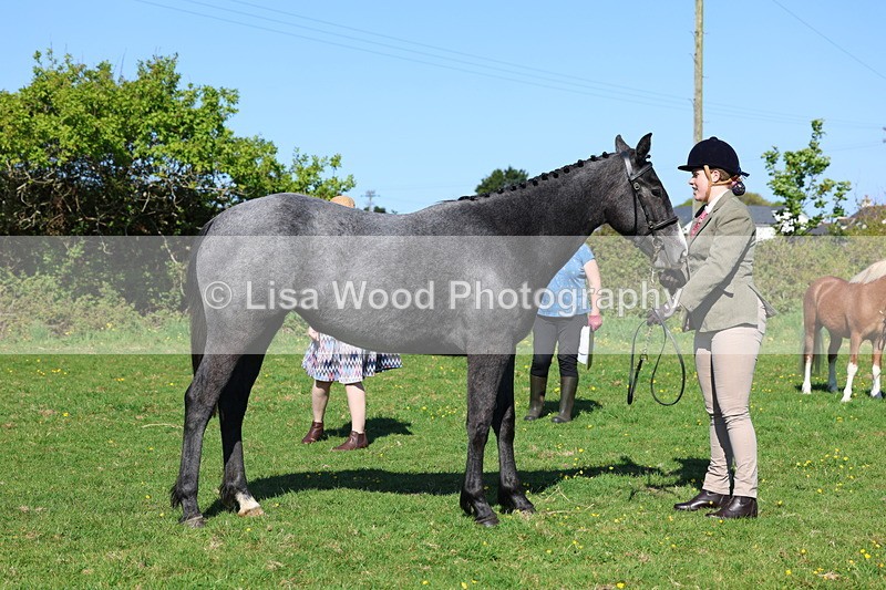 3E7A9054 - Class 15: Two/Three Year olds