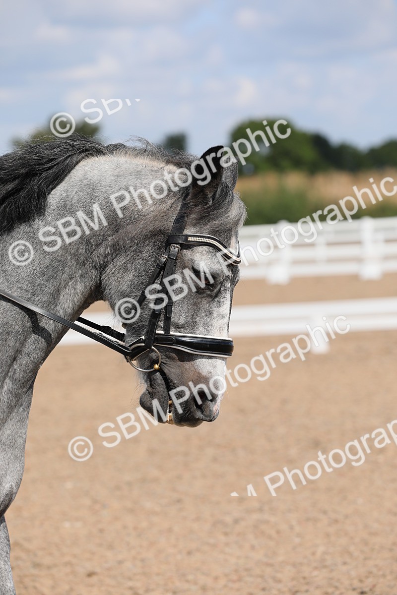 SBM_03863 - Class 31 Prelim 1