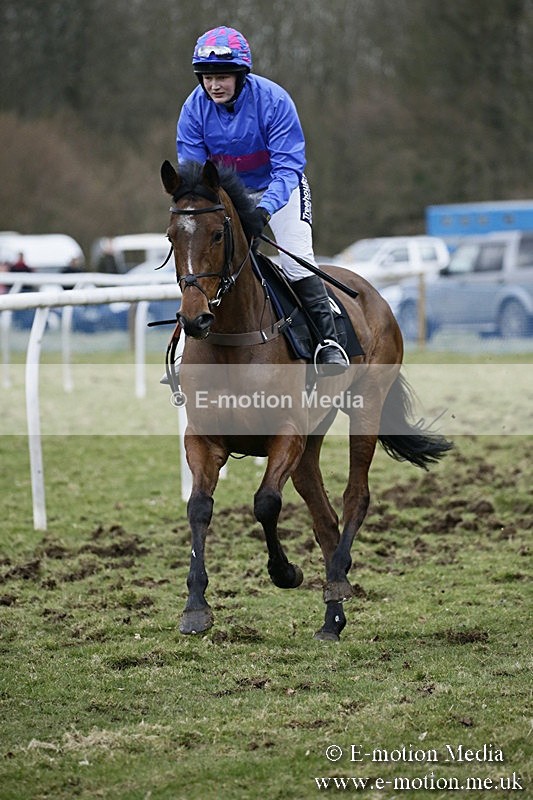 PtP 110318 516 - Hampshire Hunt Point-to-Point Hackwood Park 11/03/18