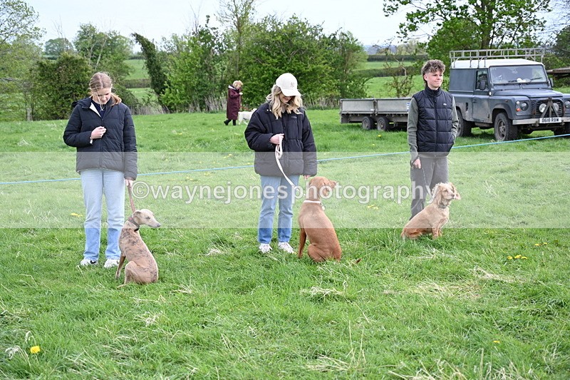 WJ6_8020 - Class 2 Best Pedigree