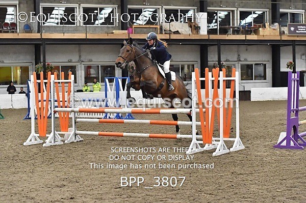 BPP_3807 - FRI CLASS 21 BR NOVICE/90CM