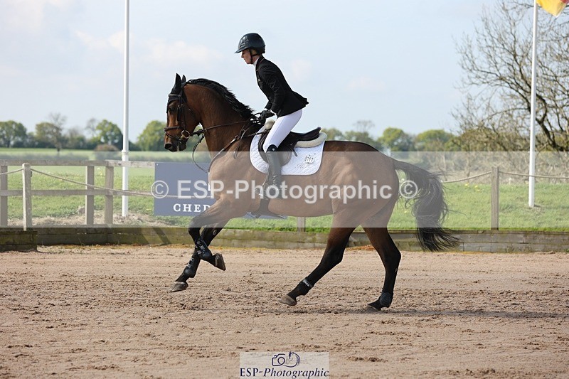 250427-102906-15353 - Cls 32 Young Horse 6yr old