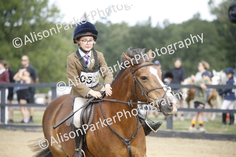 20250622-1597 - 40cm