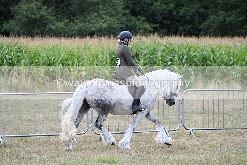 WJ7_4814 - Class 12 Ridden Cob