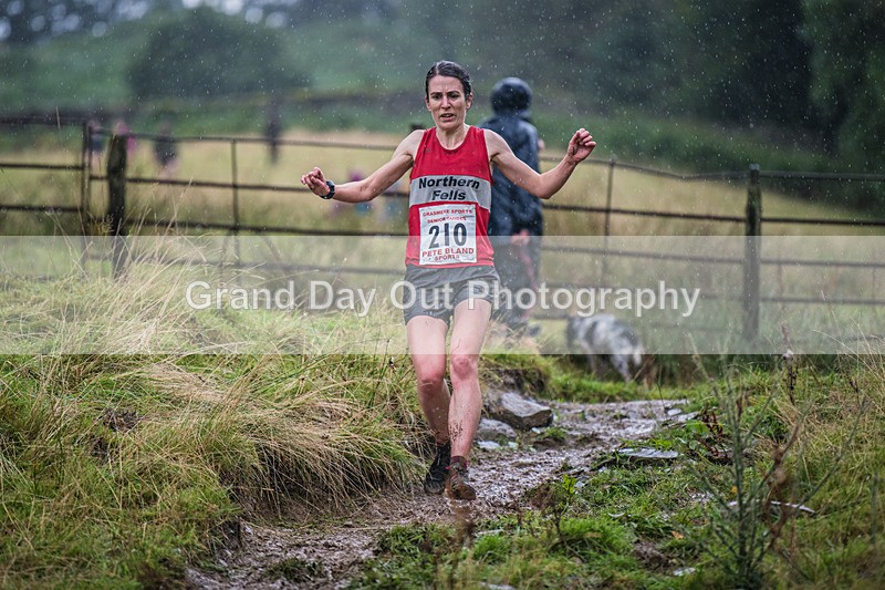 Grasmere Senior-336 - Grasmere Guides Senior Fell Race Sunday 25th August 2024