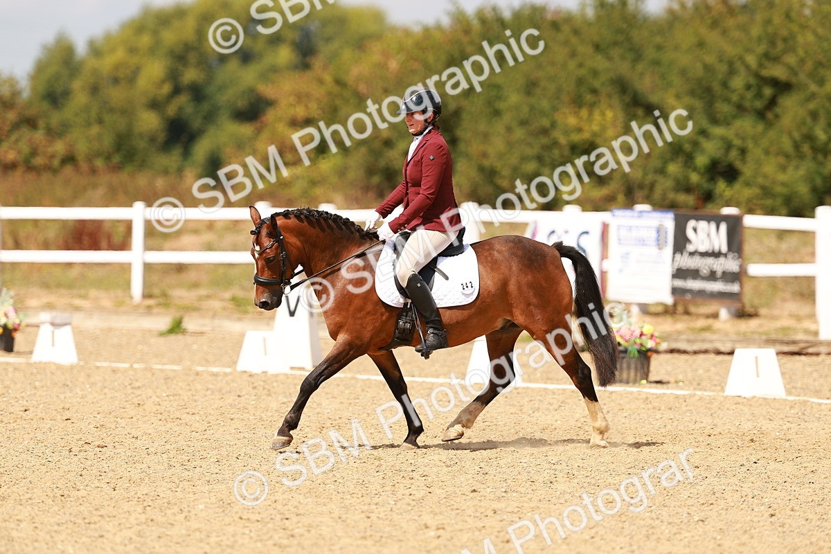 SBM_018618 - Class 9 - N5 Bronze 11.57.13.07