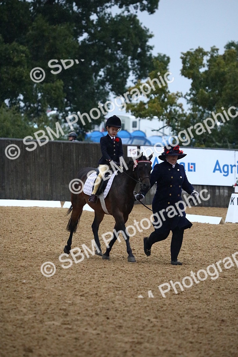 SBM_34688 - D26 - Starters Lead Rein