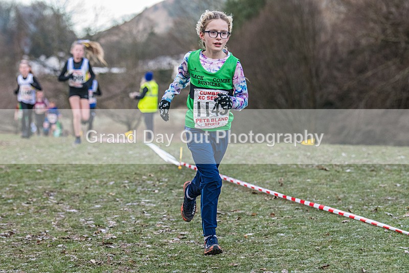 Cumbria XC-95 - Cumbria Cross Country Championships (Junior & Senior Races) Saturday 3rd January 2026