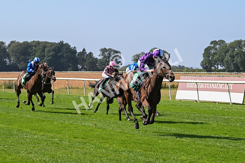 300824-Race 1-Tuscan Hills-5612 - Race 1
