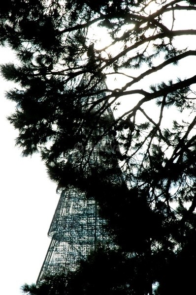 Tree on Tree - Oh Xmas Tree