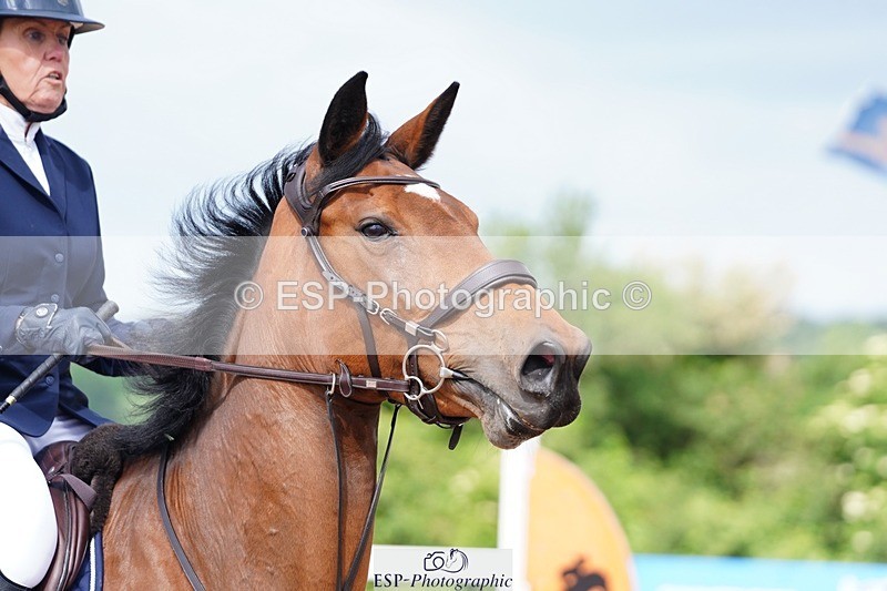 250525-101754-09086 - Cls 32 A&B Snr Brit Nov & 90cm Open